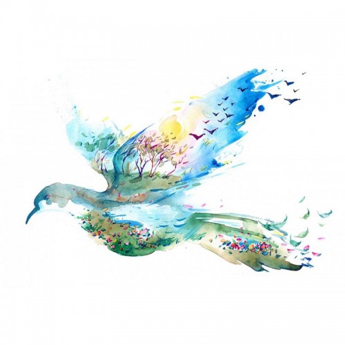 Dove Esansı Dove Esansı