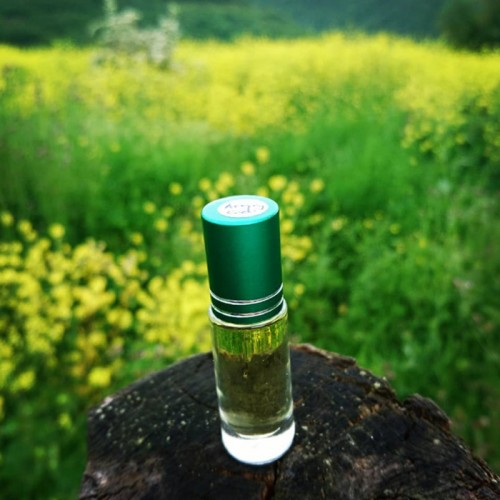 Green Misk Esansı Green Misk Esansı