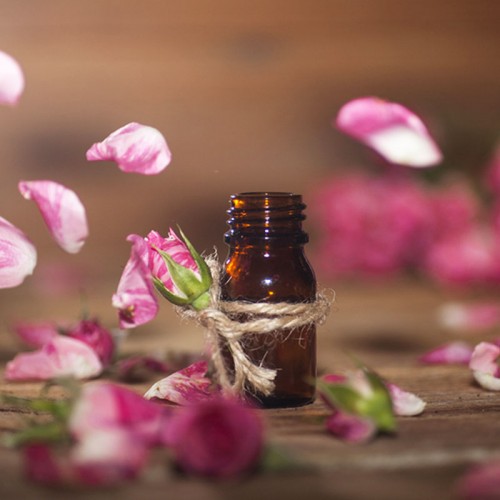 Gül Esansı Gül Esansı