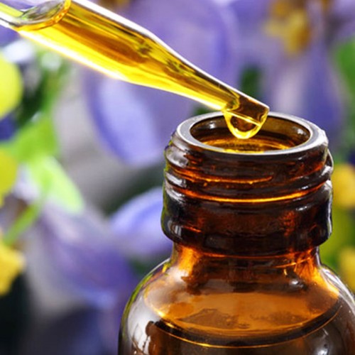 Kara Kedi Esansı Kara Kedi Esansı