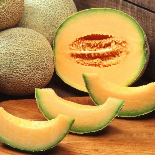 Kavun Melon Esansı Kavun Melon Esansı