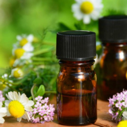 Kırçiçeği Esansı Kırçiçeği Esansı