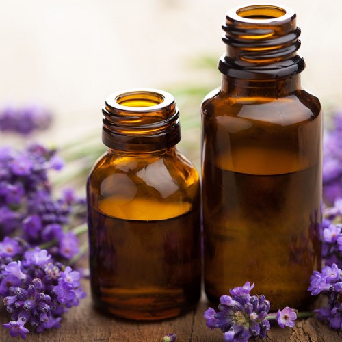 Menekşe Esansı Menekşe Esansı